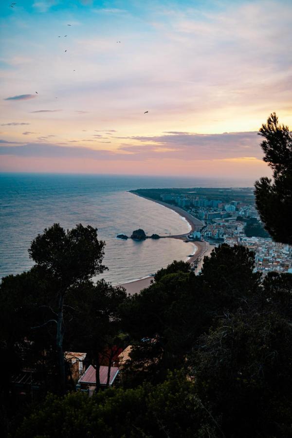 Pierre & Vacances Blanes Playa *