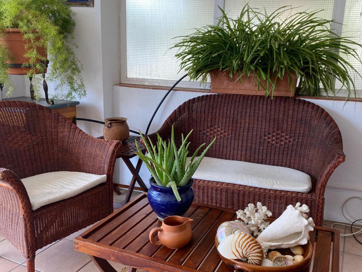 Apartamento La Mejor Terraza De
