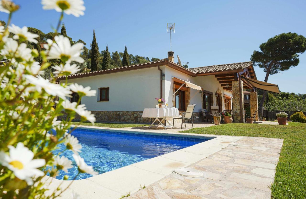 Cal Nano Villa