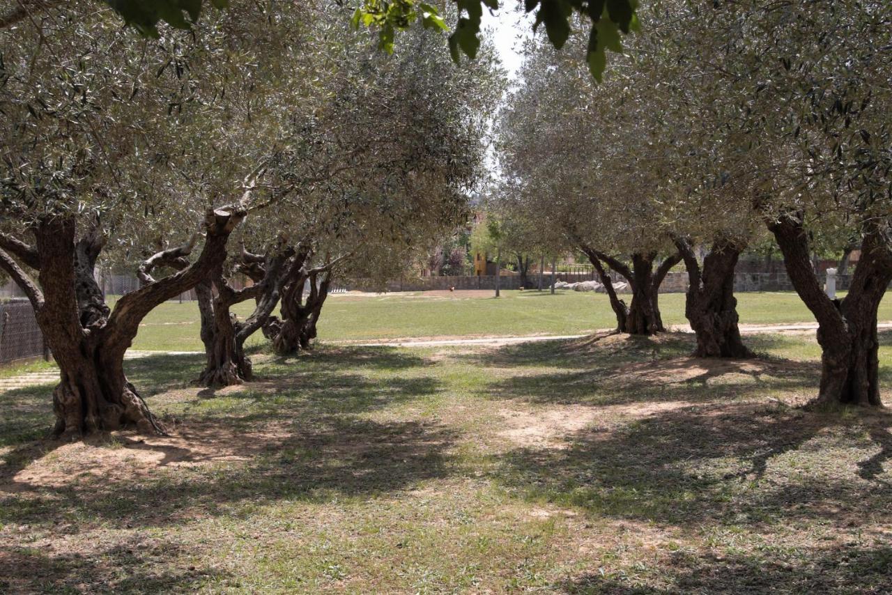 Mas Soles - Compartida En Parlavà - Girona