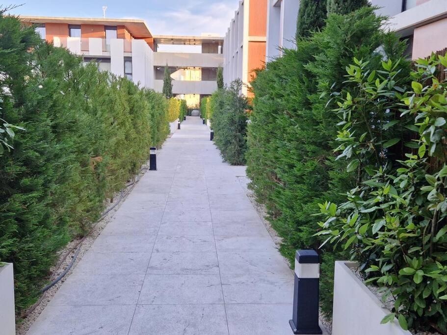 Espectacular Piso Nuevo Con Piscina Apartamento