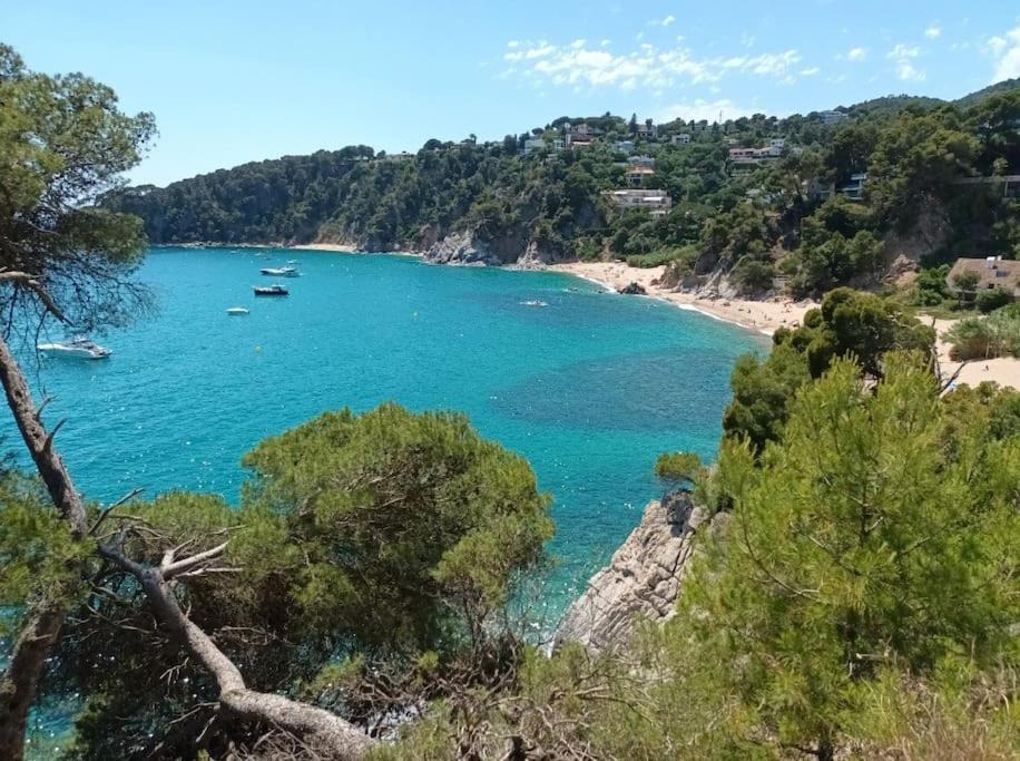 La Calma De Tossa Apartment Girona