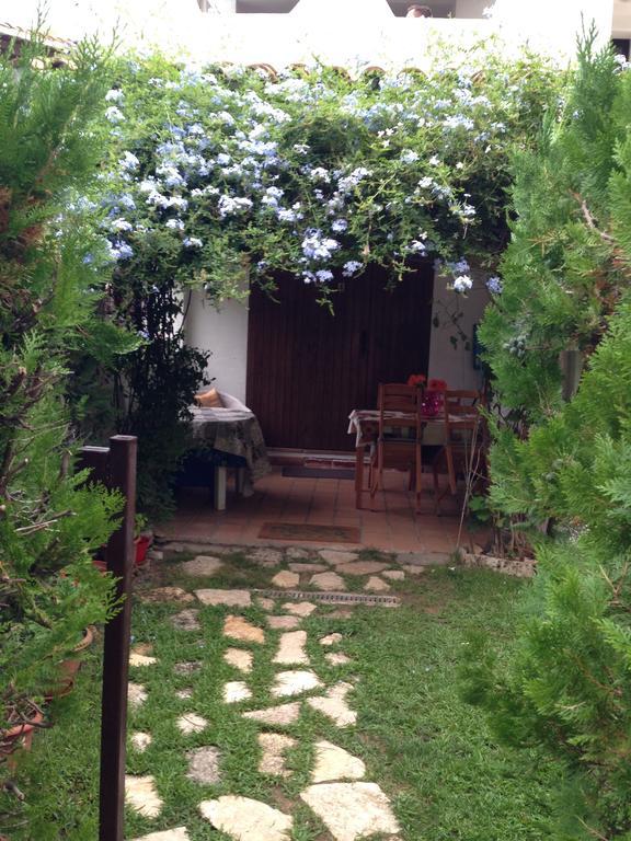 Cossis 74 *