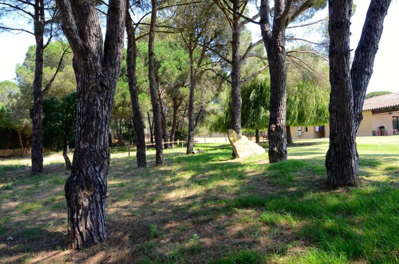 Brugueres