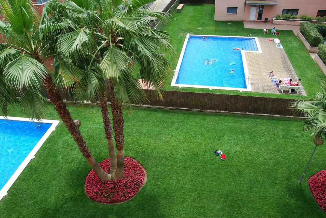 Apartment Camelia