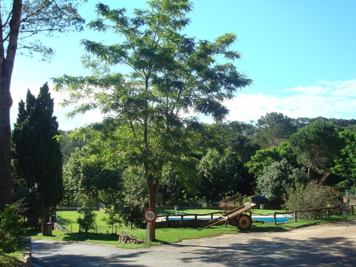 Safari Tent On A Near