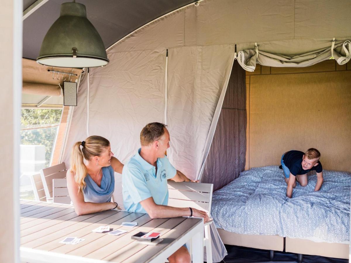 Tent On A Park, Just 2 5 Km From The