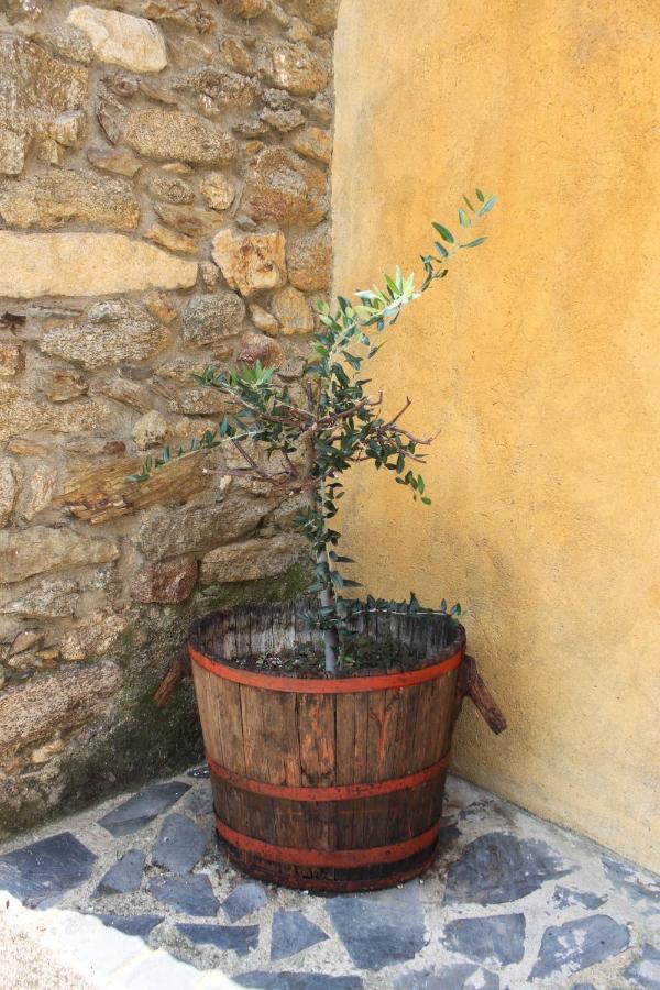 L'hostalet De Country house Palau Saverdera