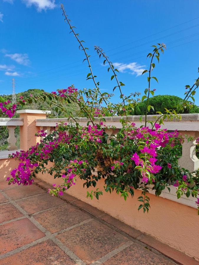 La Casa Celestial