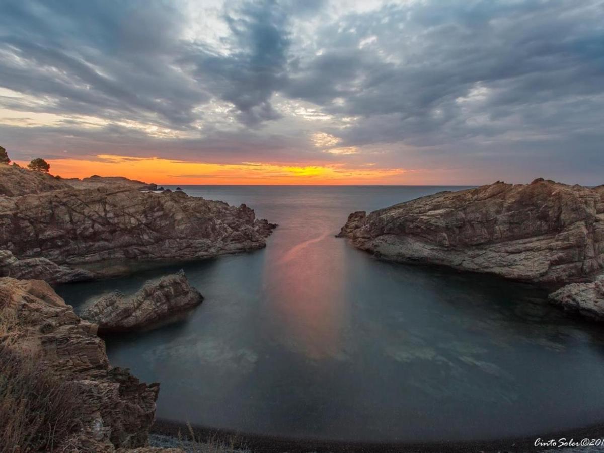 Apartamento Atico Excepcional Frente Al Mar En Sant Carles, - Costa Brava - Es-170-40