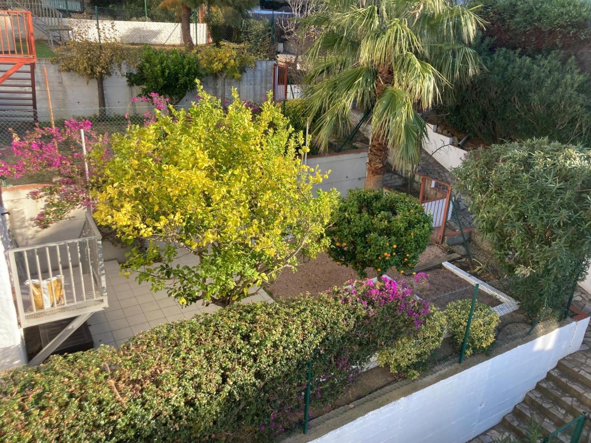 Duplex Avec Terrasse Magnifique Jacuzzi Vue Apartment Roses