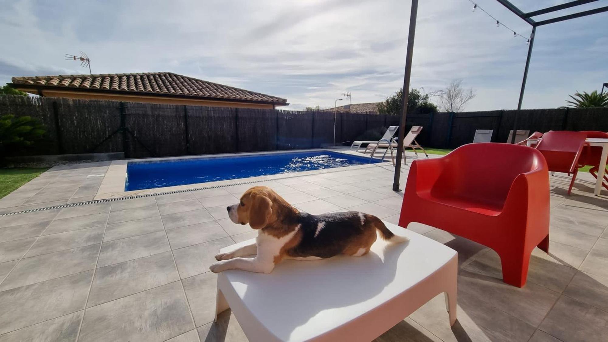 Villa Villas Medes Mar - Plus Costa Brava L'Estartit