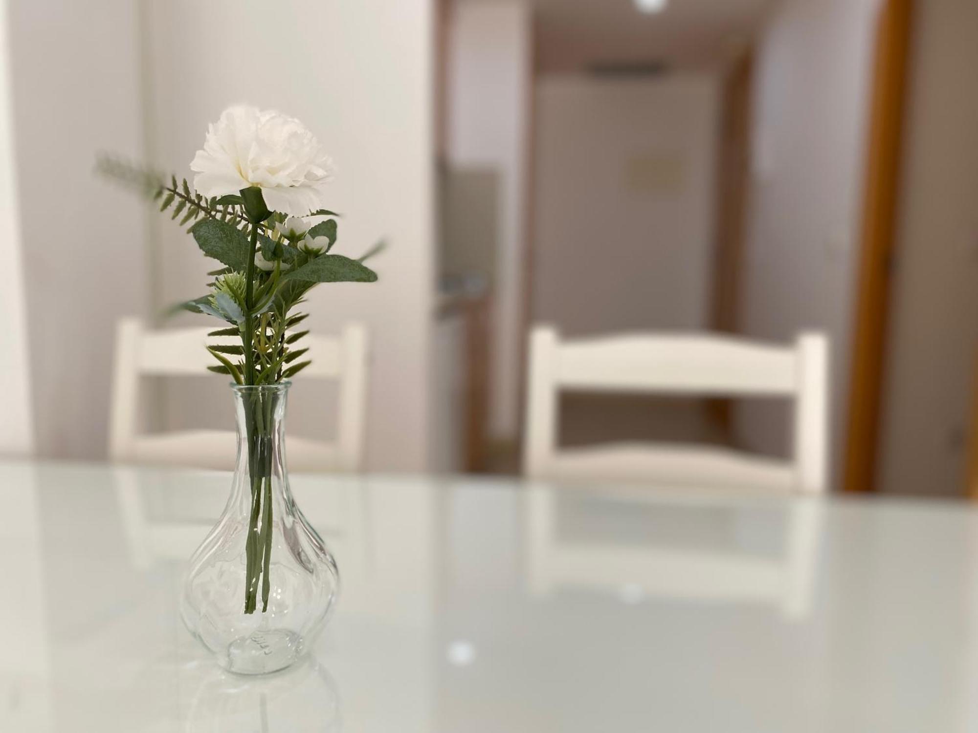 Brava Apartment