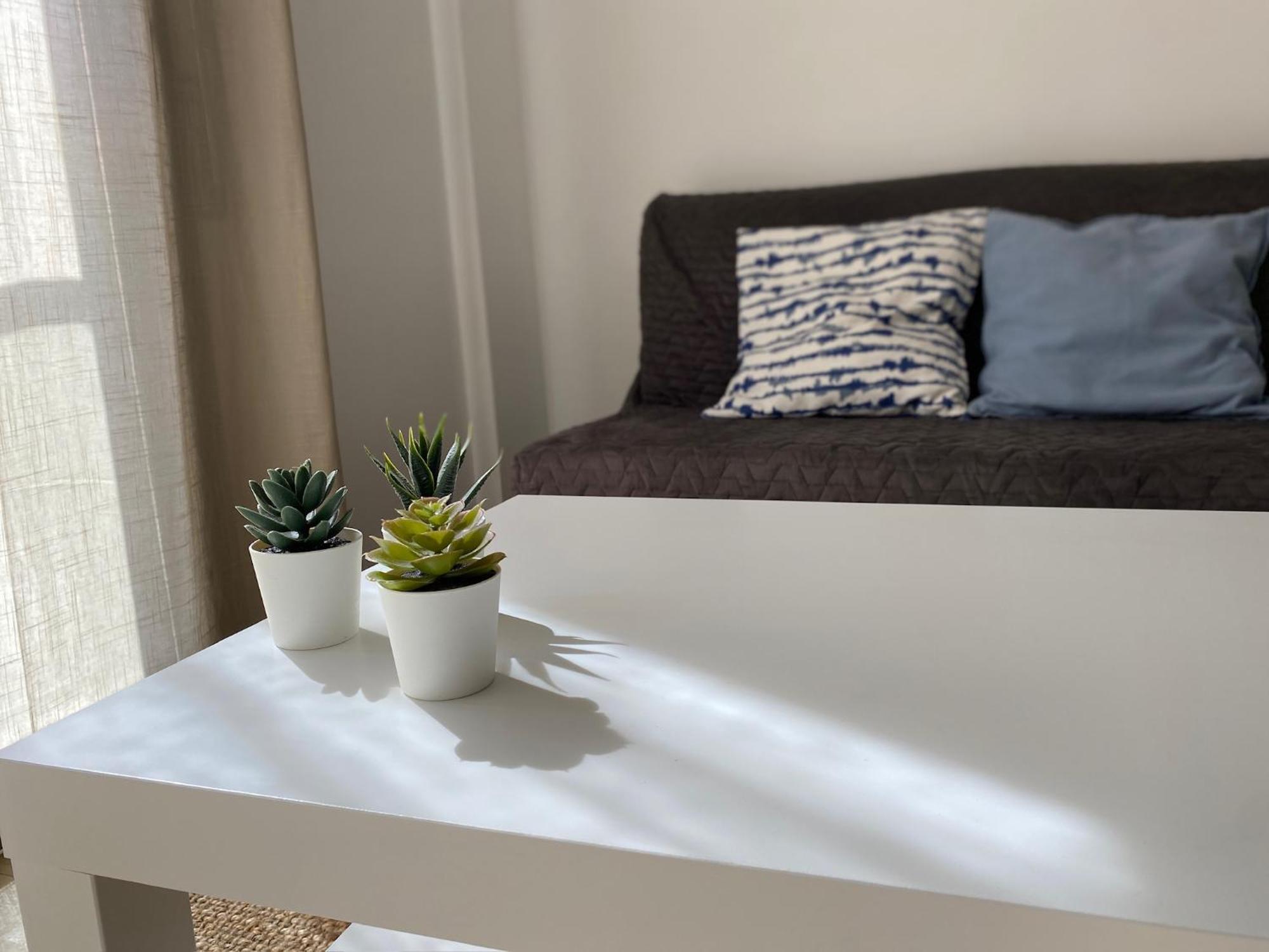 Apartment Brava