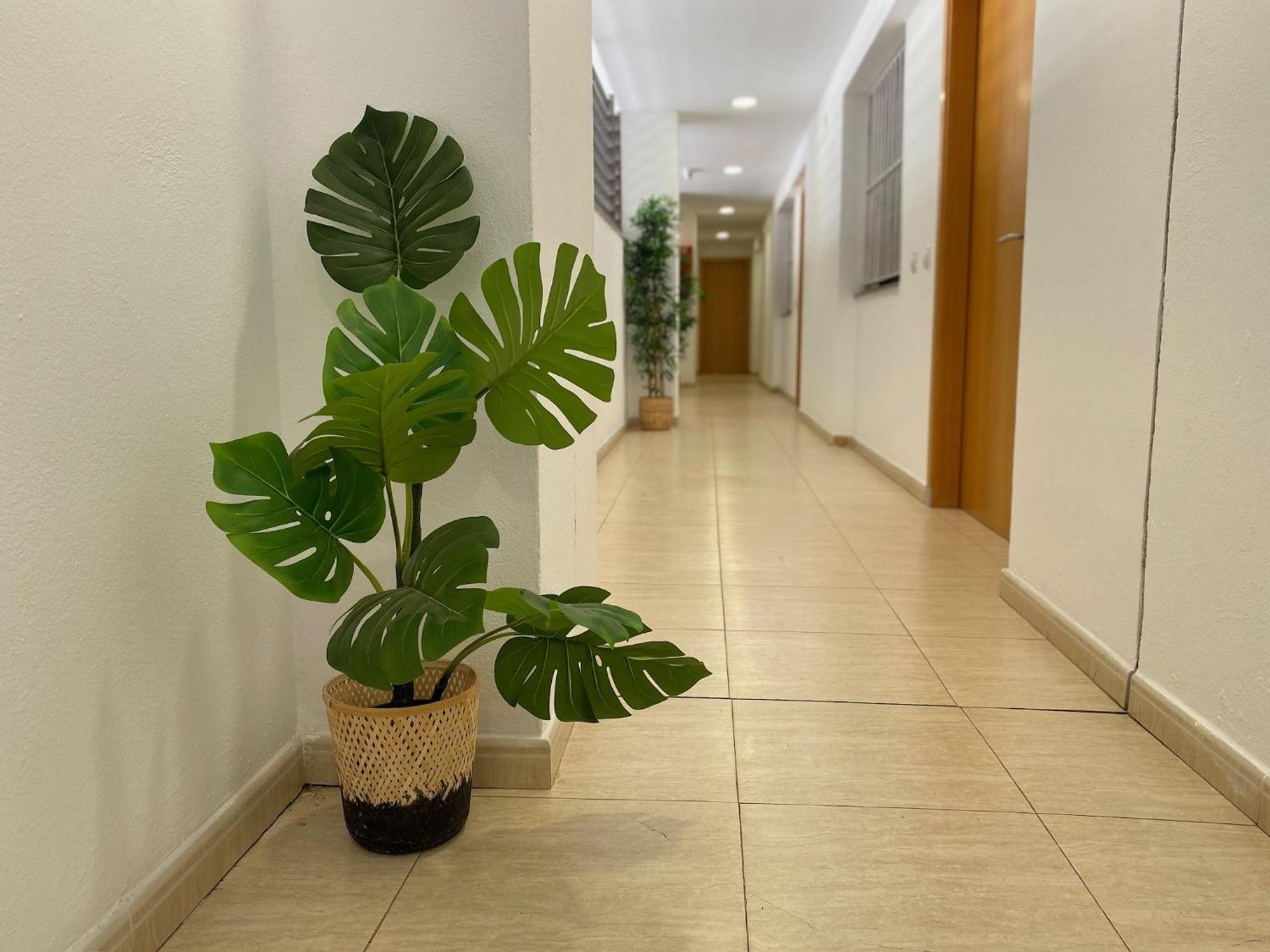 Brava Apartment Lloret de Mar