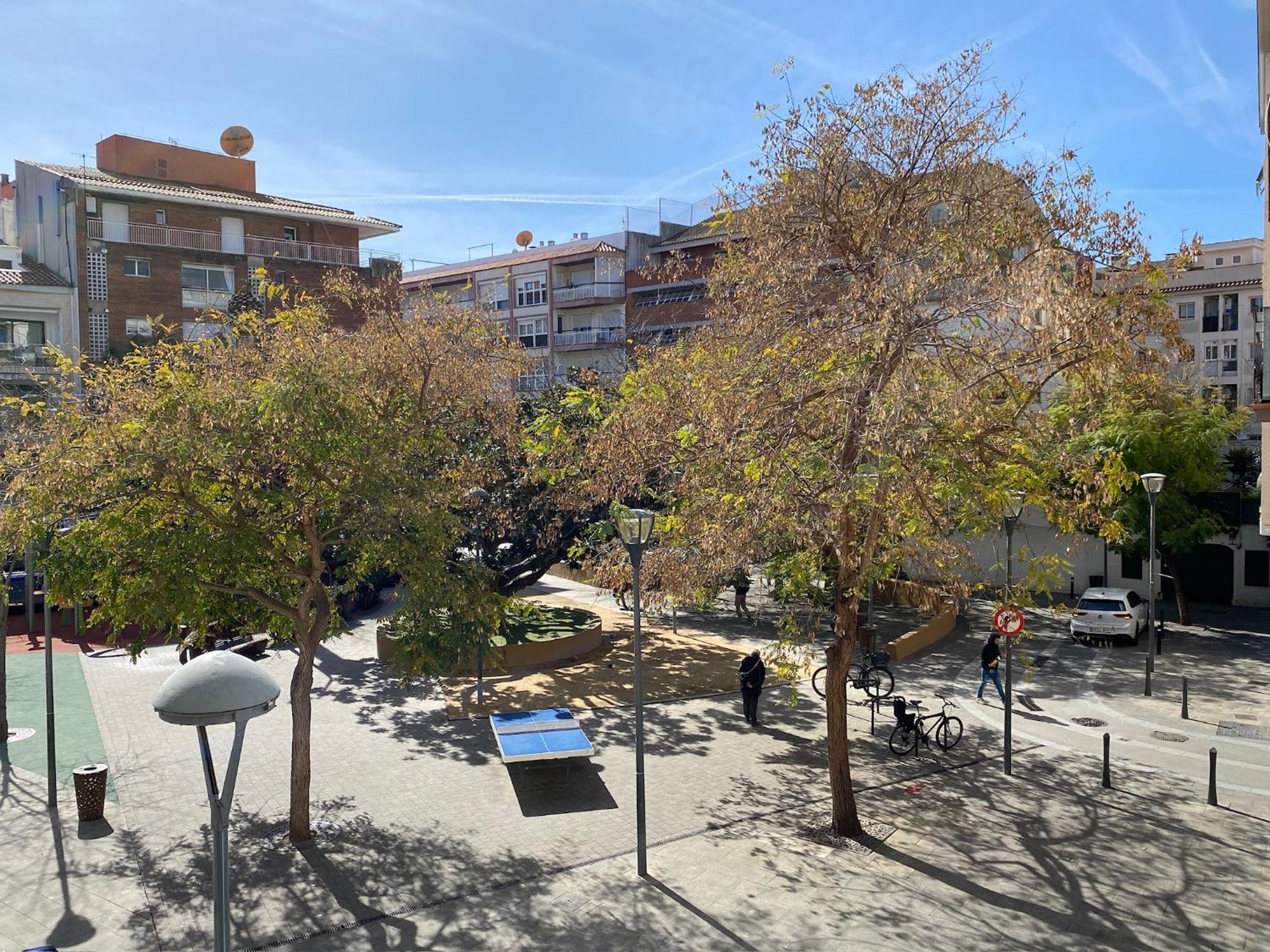 Apartment Brava Lloret de Mar