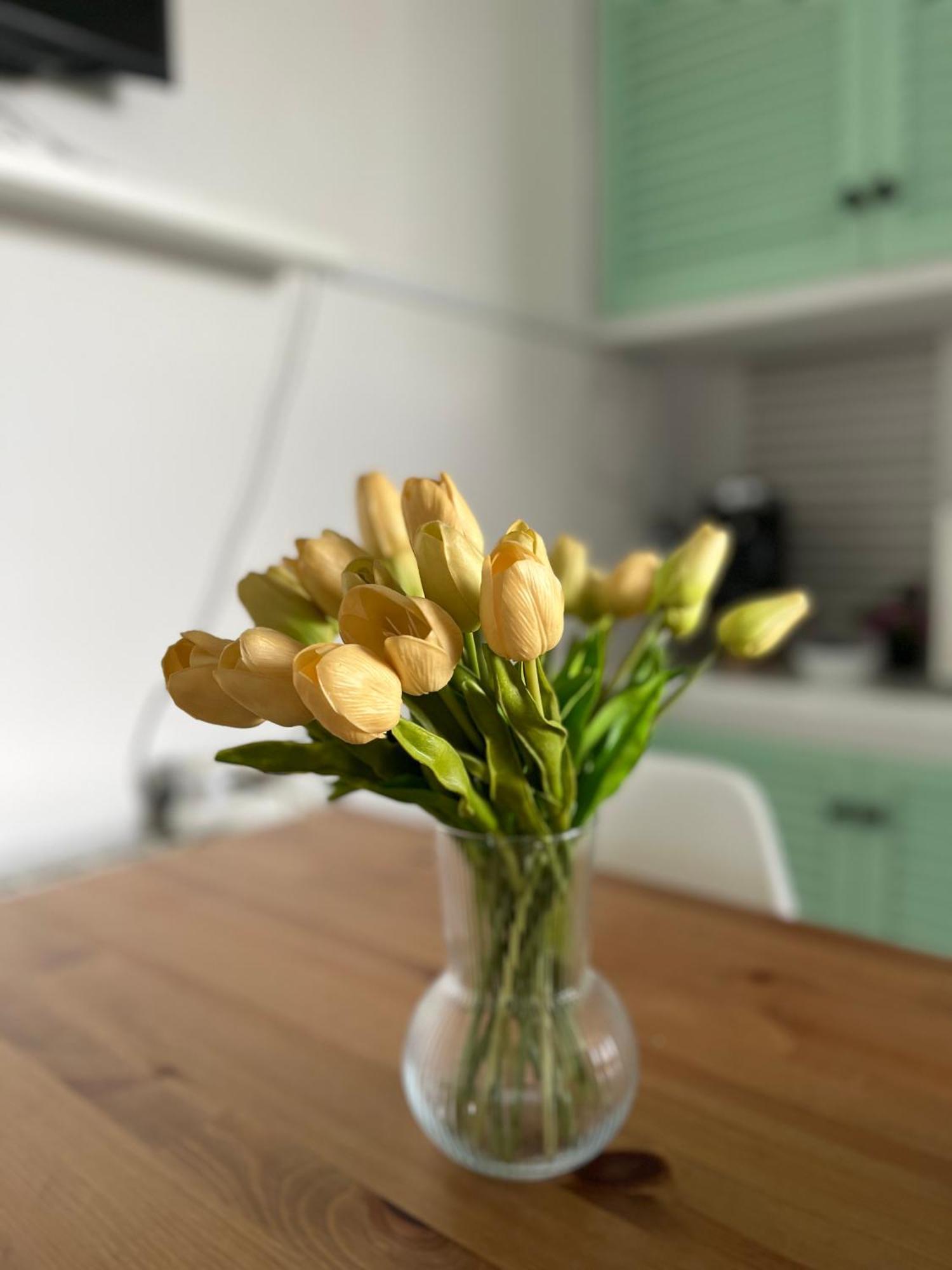 Apartment Your Holidays Platja d'Aro