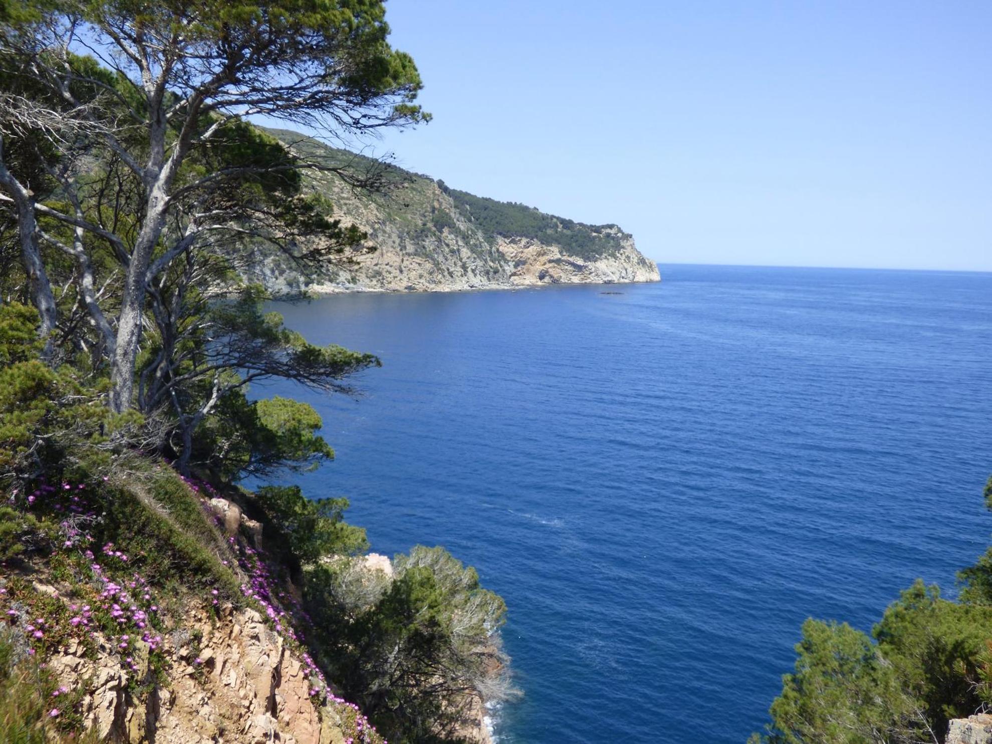 Sol Y Mar 8-maison Jumelée Avec Terrasse, Piscine Et Parking Communautaire, Surplomb De Apartamento Begur