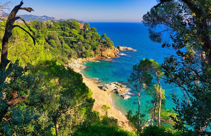 Europa Family * Blanes