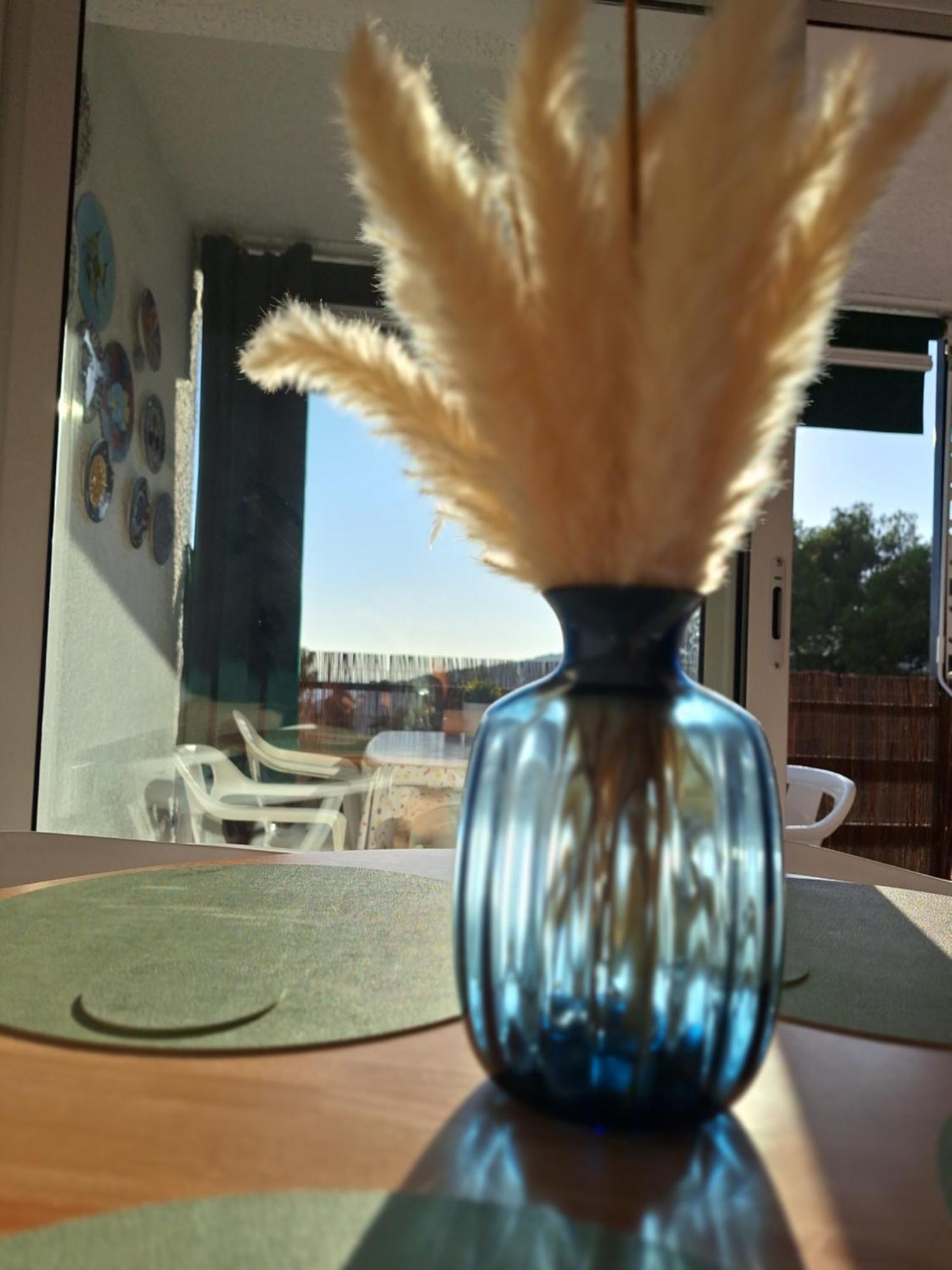 Apartment La Calma De Tossa Girona