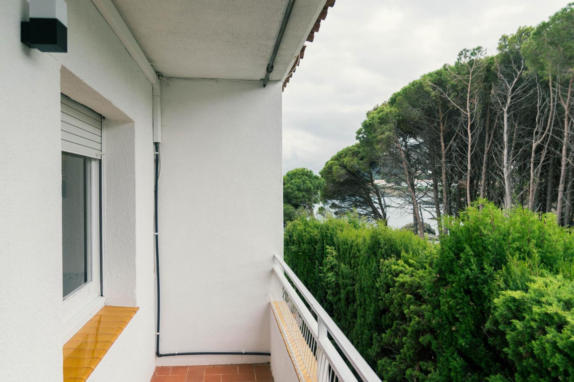 Apartamento Falcó *