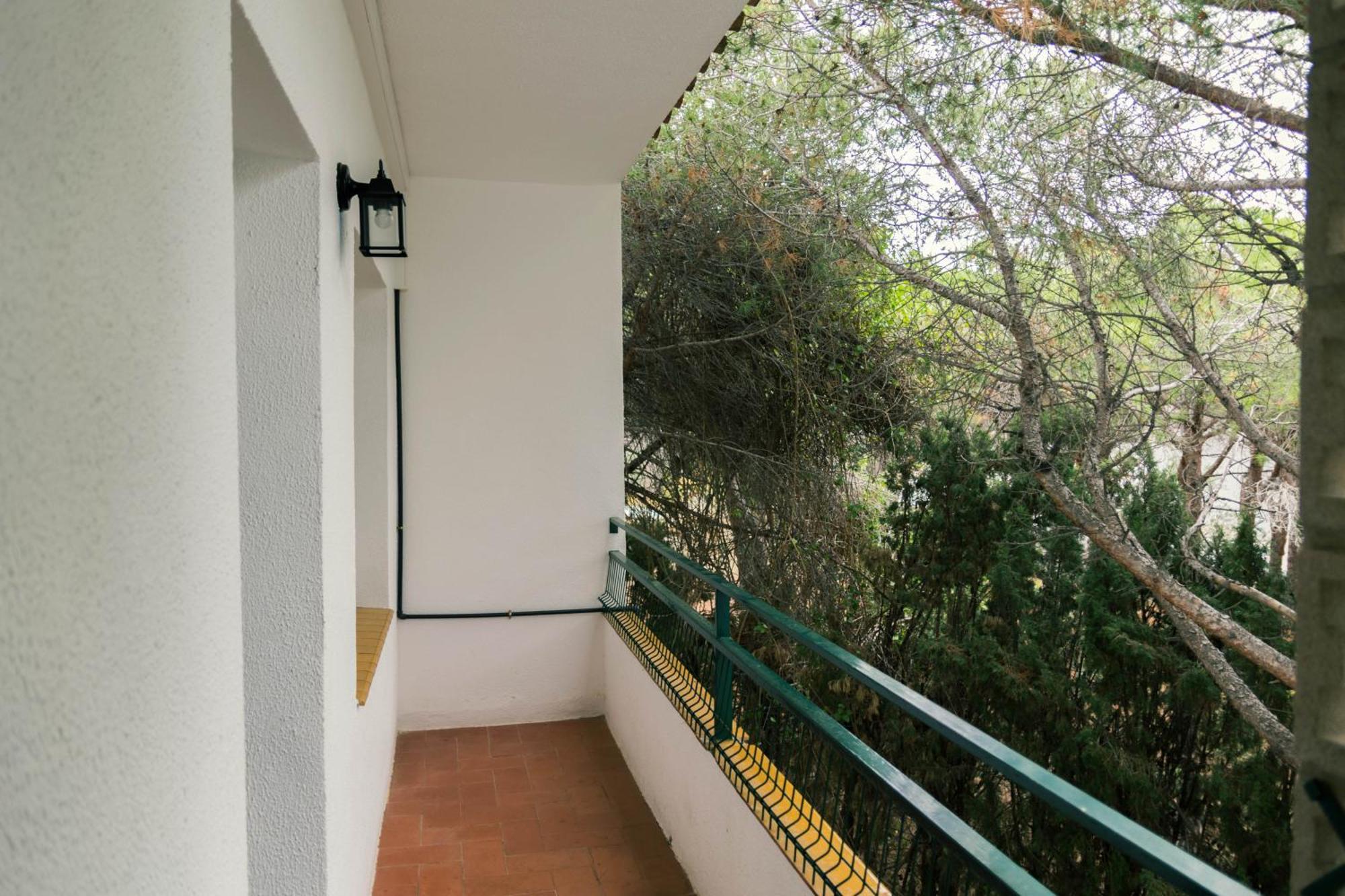 Falcó Llançà