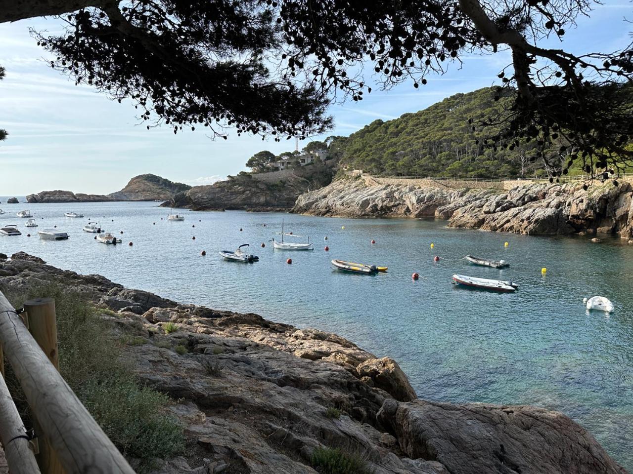 Сasa de vacaciones Casa Aigua Freda *