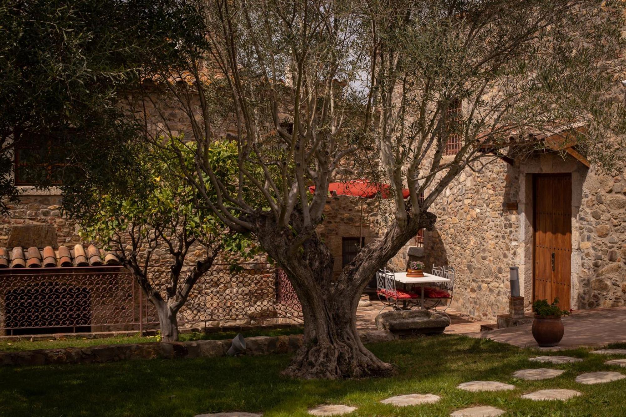 Hotel Mas 1670 - Adults Only 3*