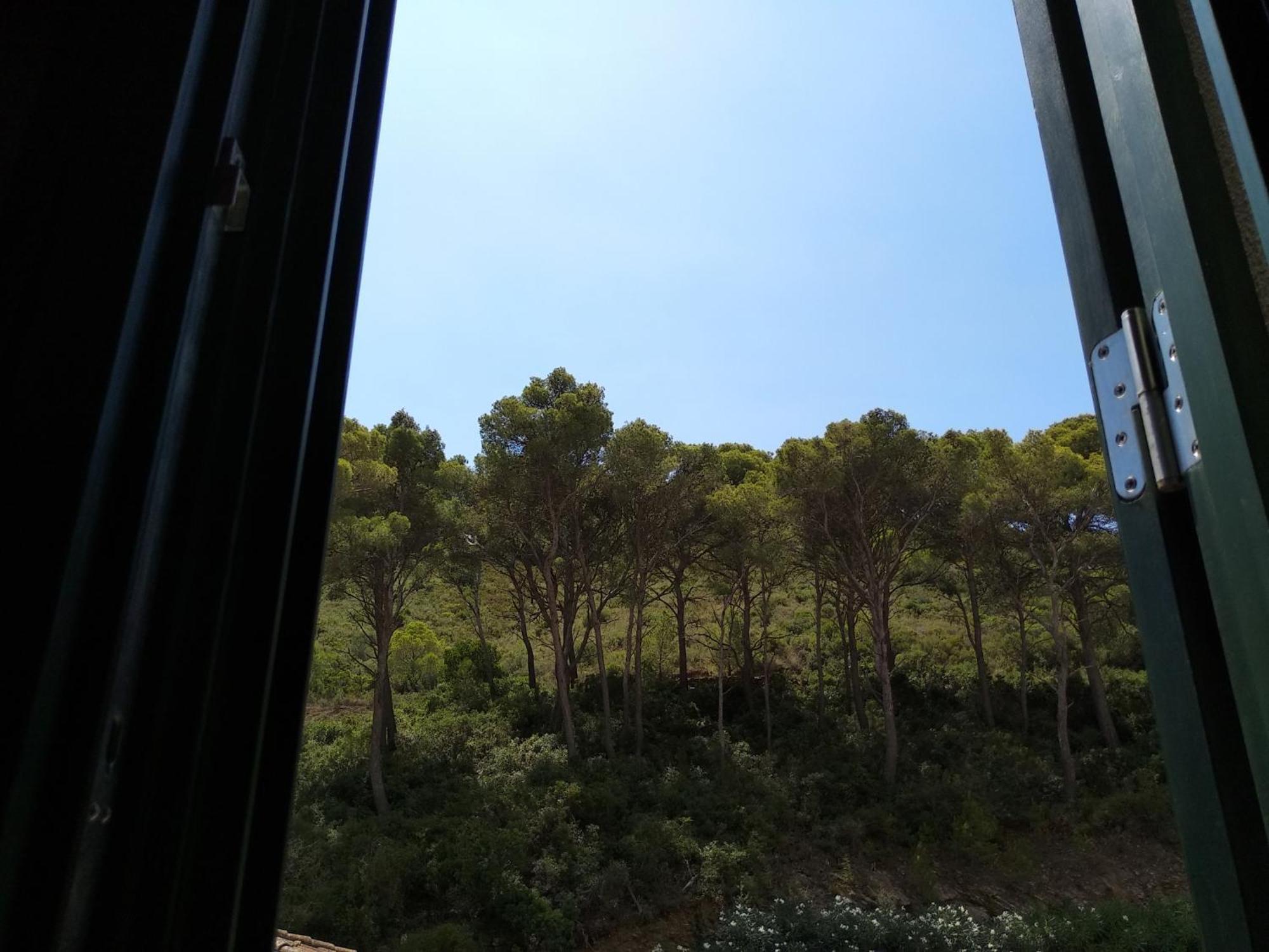 Felip Apartment