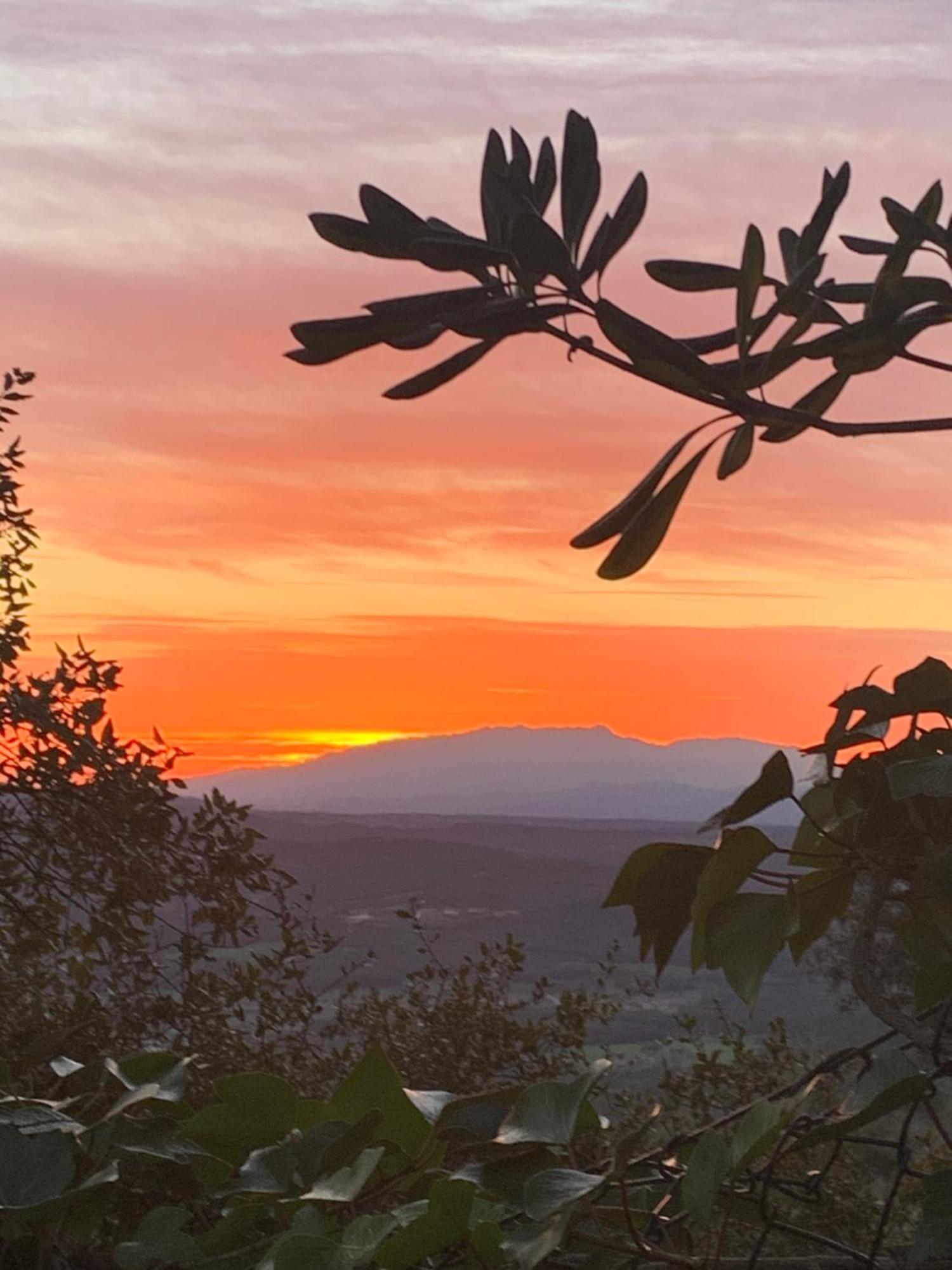 Cosy With Swimming Pool And Spacious Private Terrace Apartment Santa Cristina d'Aro