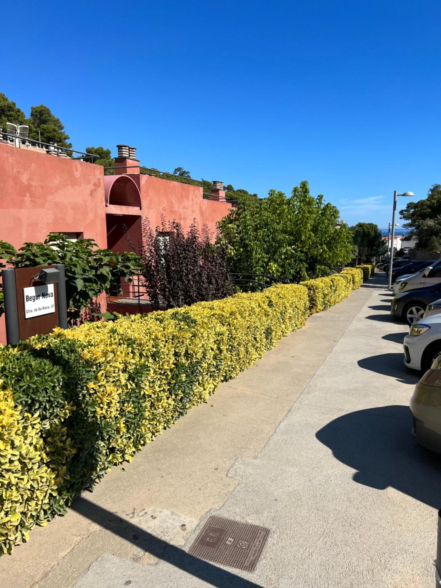 Apartment Ap21-sa Riera *