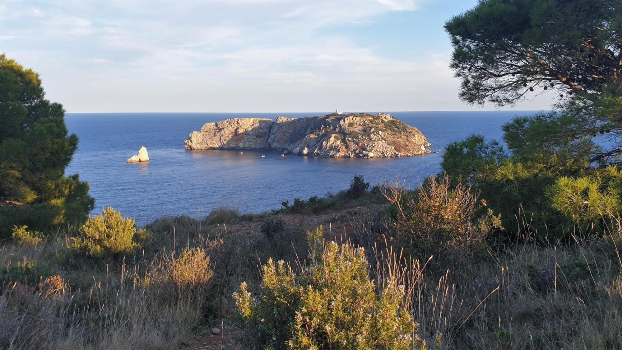 Apartment La Masia