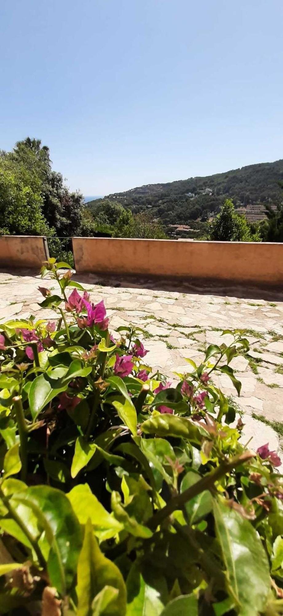 Corti Mori Sa Riera Vistas Mediterraneas Apartment Begur