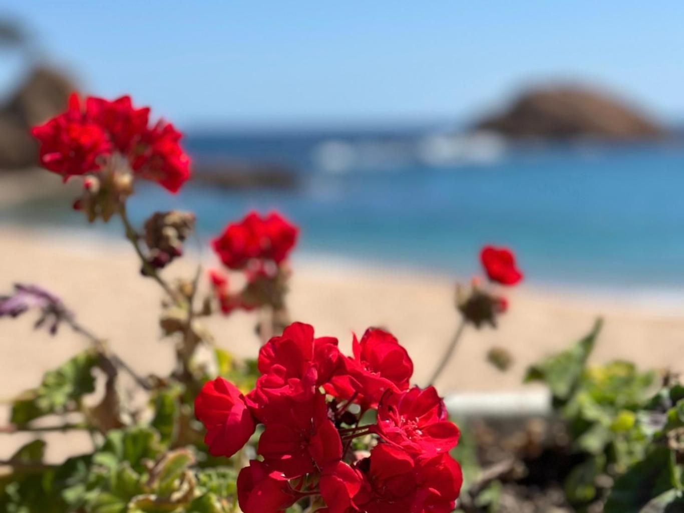 Apartamento ático Con Vistas Al Mar A Un Paso Del Centro *