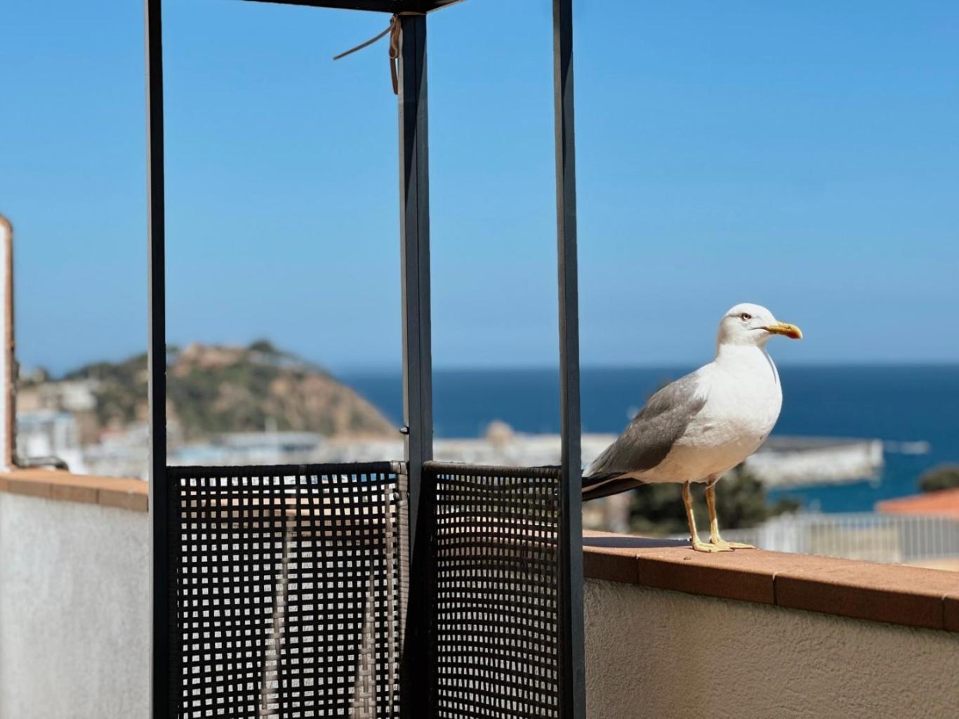 Apartamento ático Con Vistas Al Mar A Un Paso Del Centro Blanes