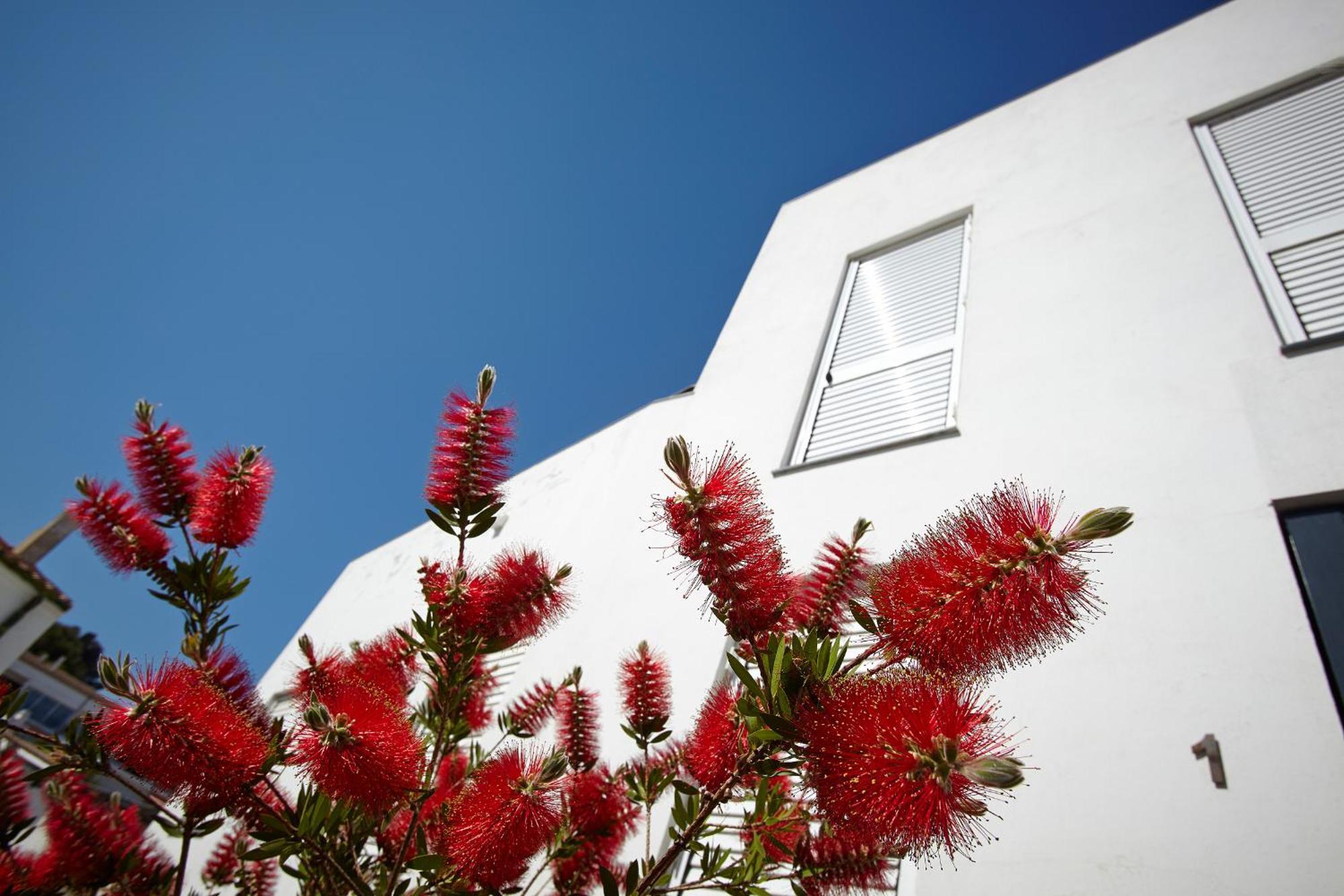 Canvas Apartments&lofts - White Ocean