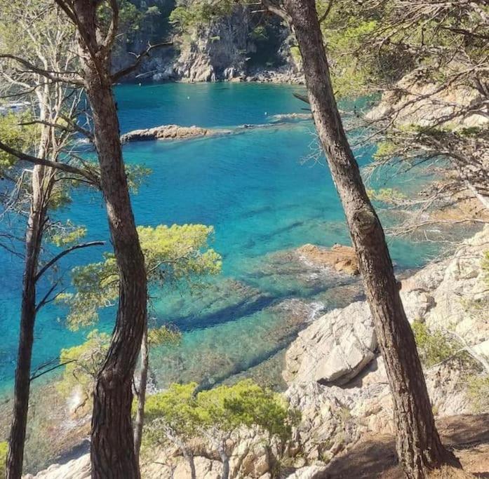 Villa Casa Con Piscina Interior En Tamariu, Calella De Palafrugell