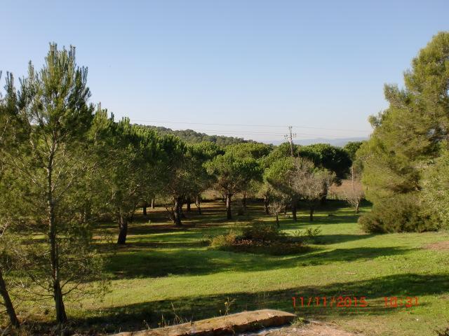 Puig Gros *