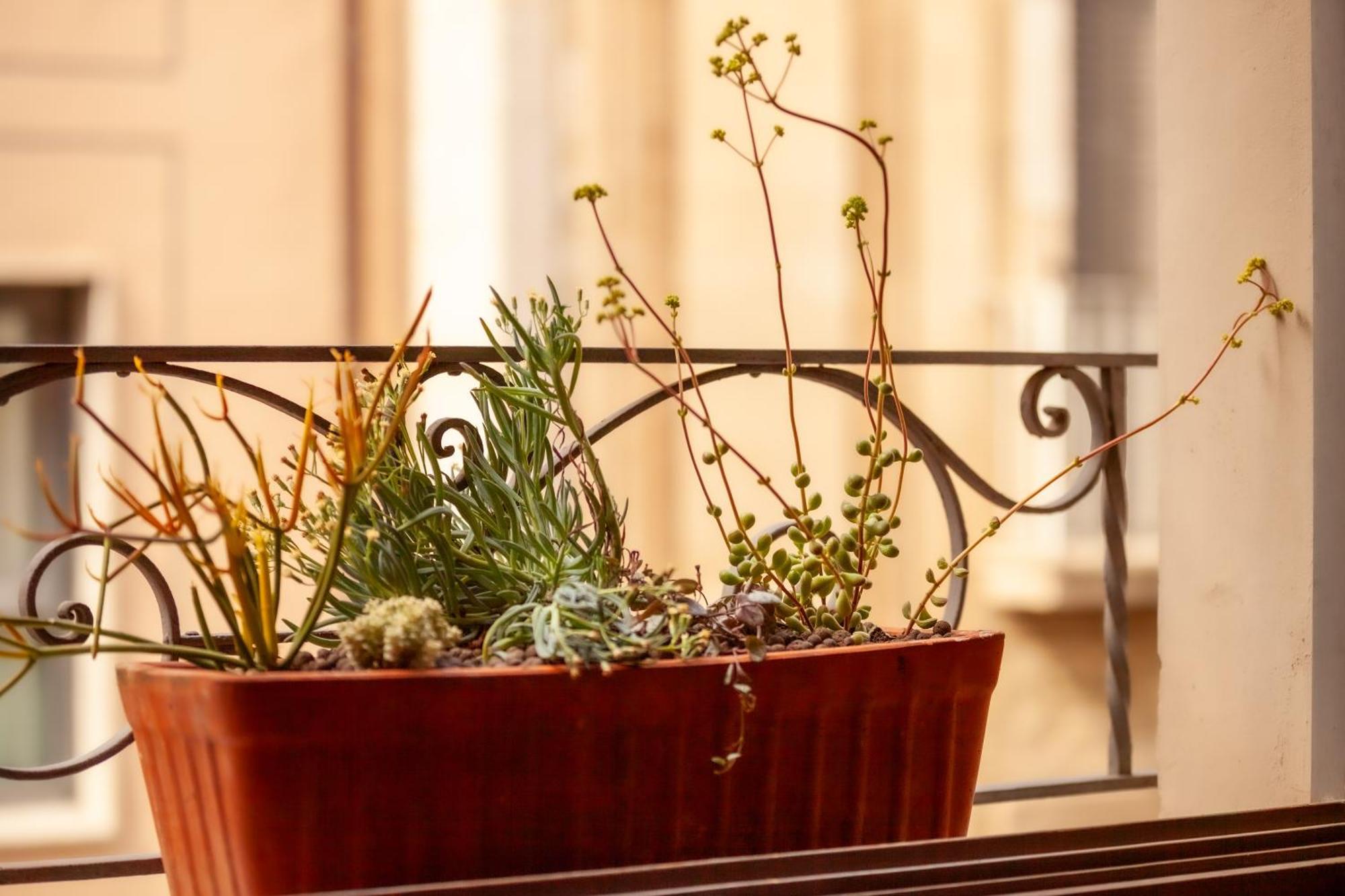 Apartment Nou3 Girona