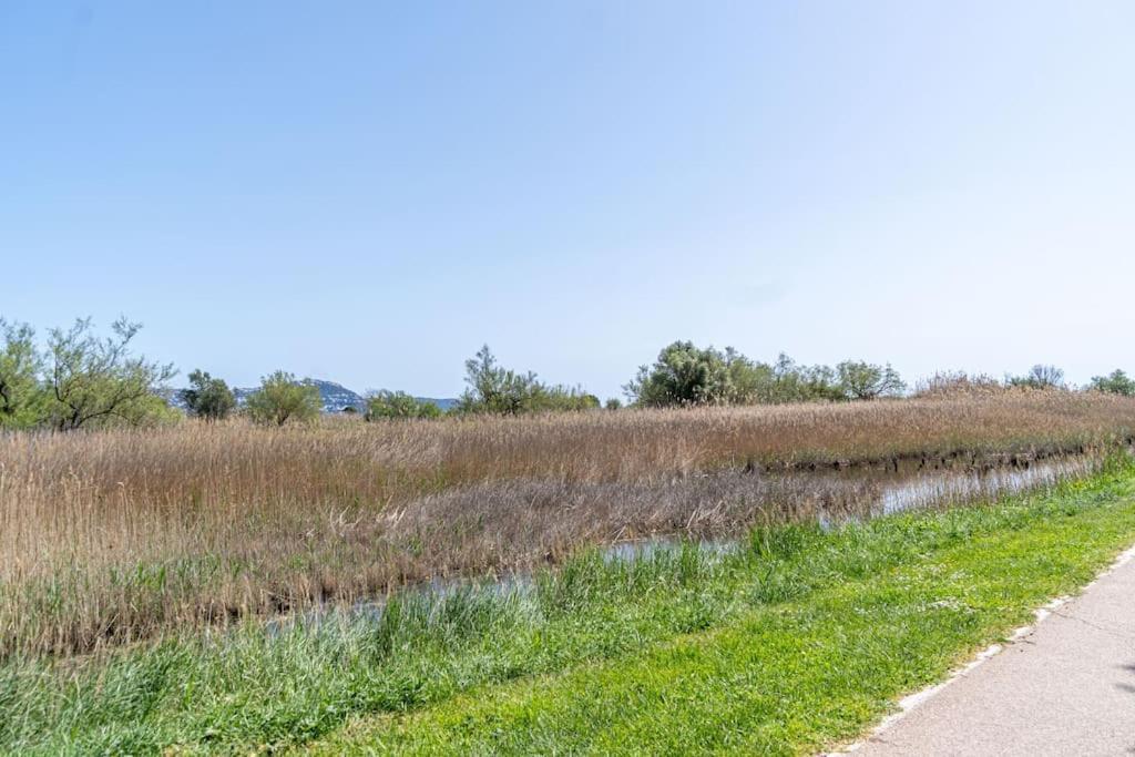 Port Ducal-apartamento En La Playa De La Rubina , Maravillosas Vistas *