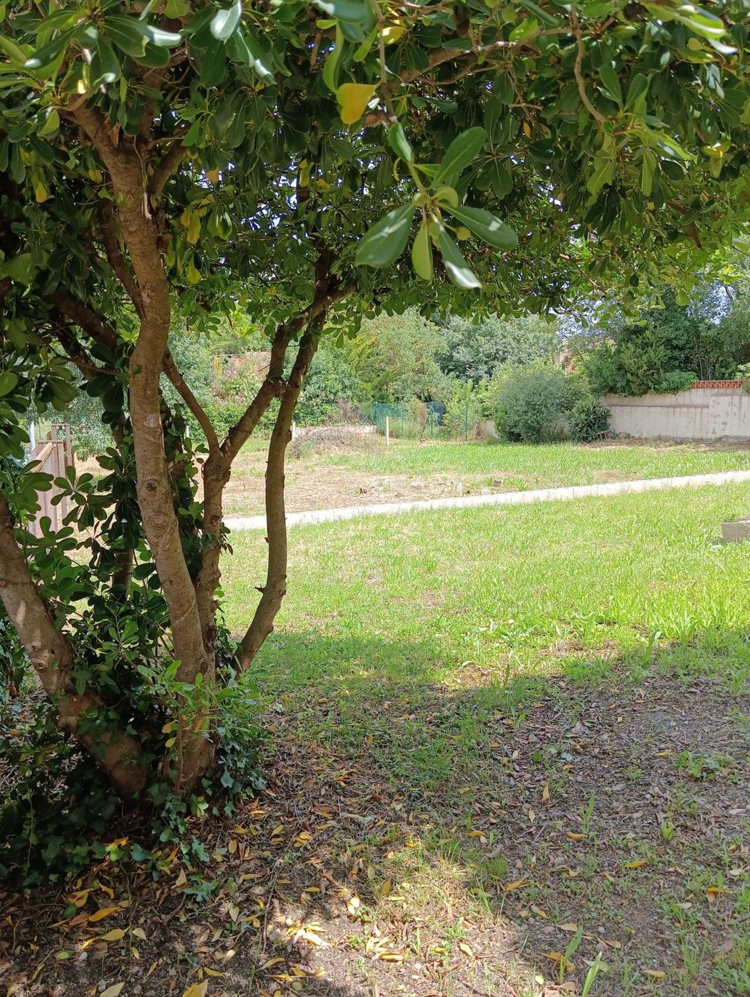 Casa Amb Gran Jardi A Vilauer-costa Brava - Alt Emporda Holiday home Vilaur