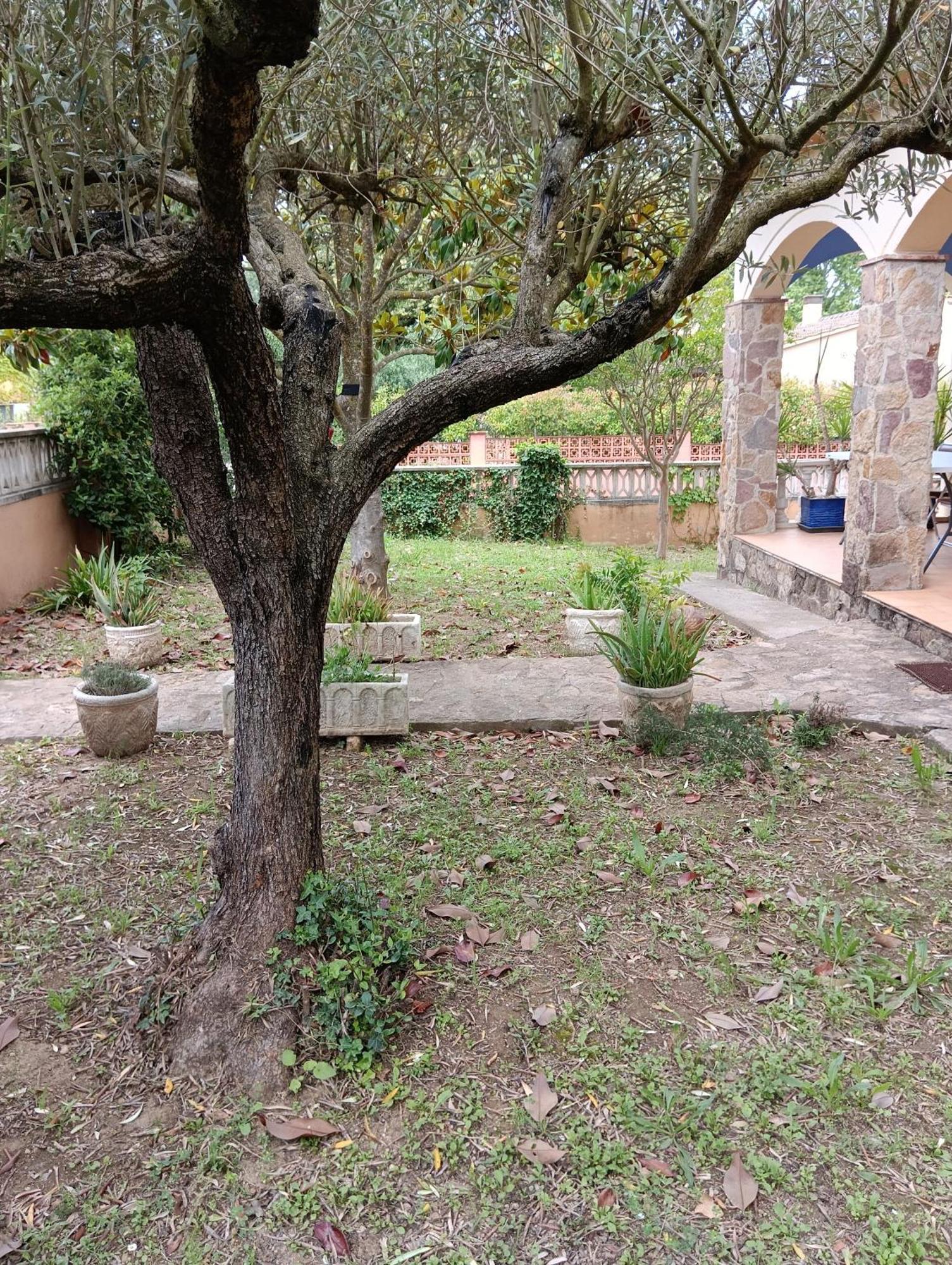 Casa Amb Gran Jardi A Vilauer-costa Brava - Alt Emporda Holiday home *