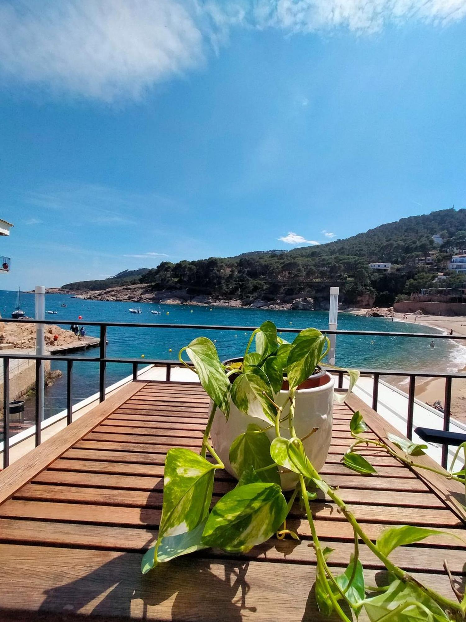 Patxei Apartamento Tamariu
