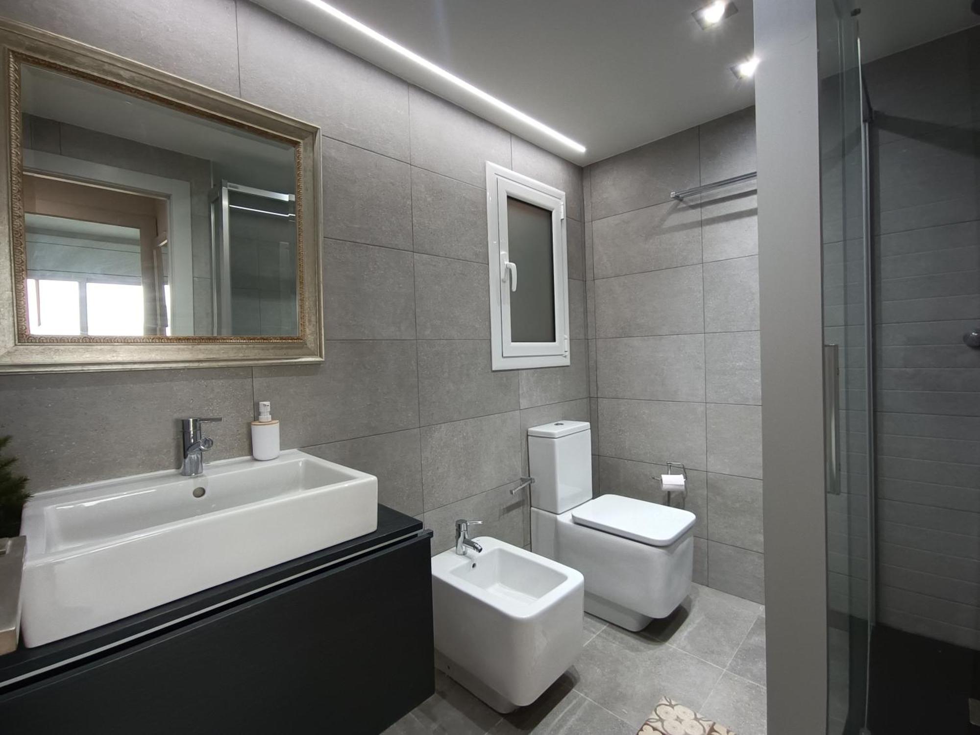 Aiguaneu Els Pins Apartment