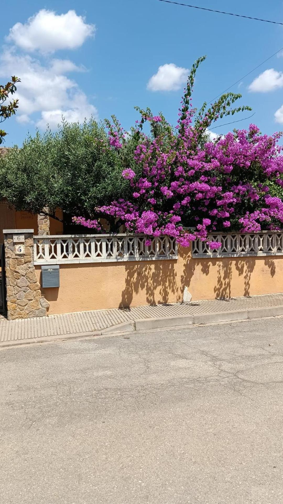 Casa Amb Gran Jardi A Vilauer-costa Brava - Alt Emporda *