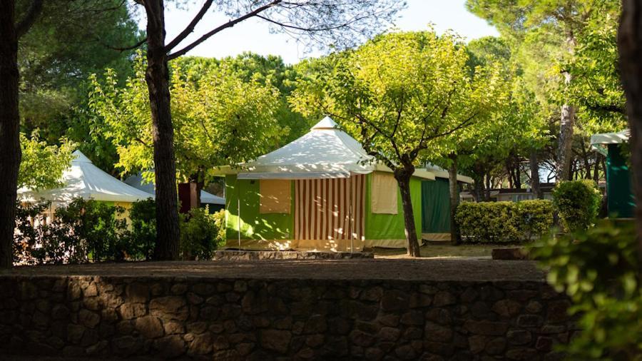 Internacional Campsite
