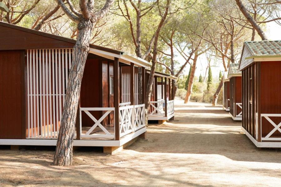 Campsite Internacional