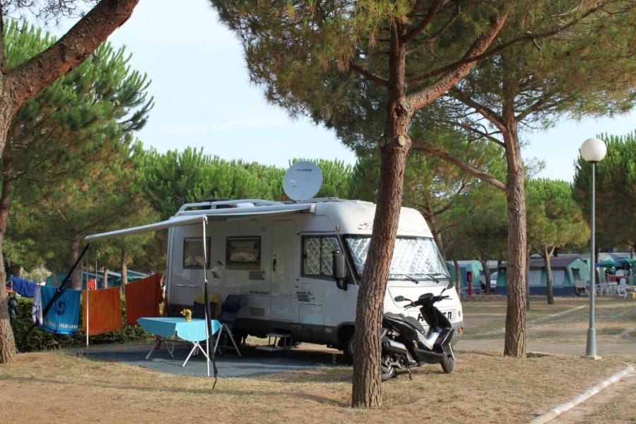 Campsite Internacional