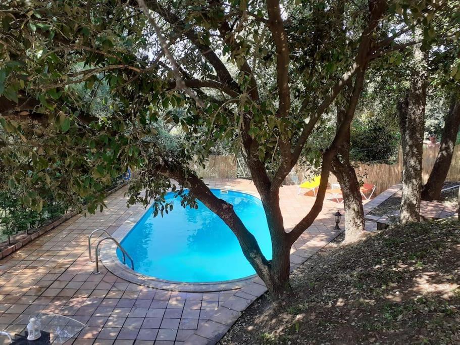 Apartamento Estudi En Per A 4p Piscina Privada