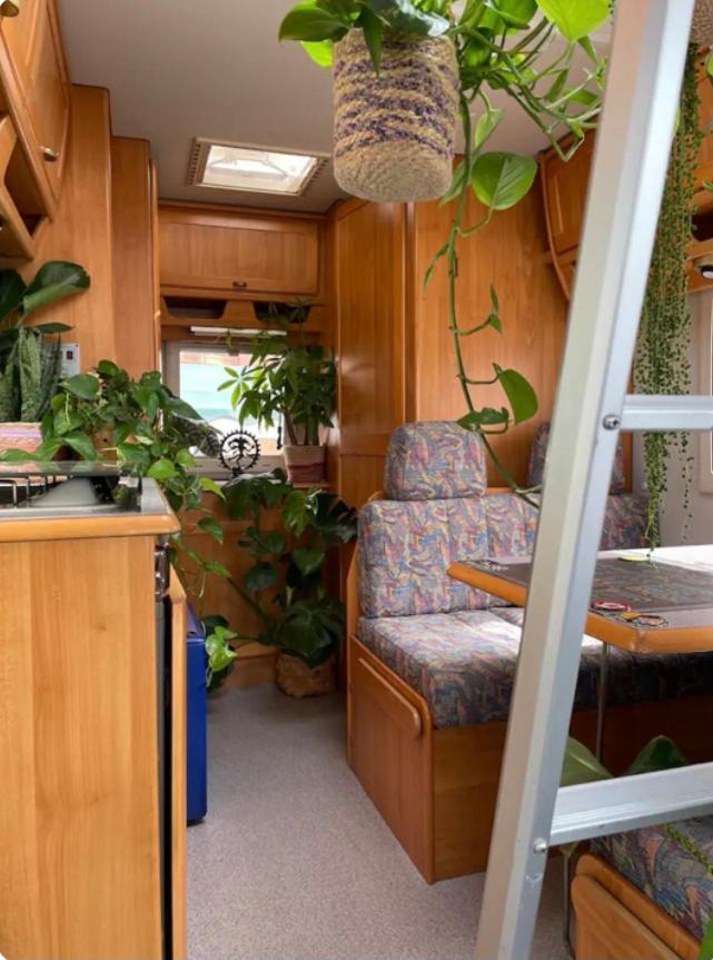 Tibetan Buddhist Jungle Camper *